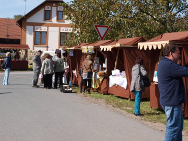 Program Slavnosti holovouských malináčů