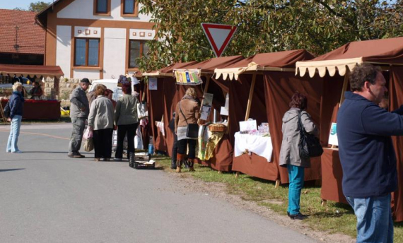 Program Slavnosti holovouských malináčů