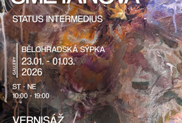 Vernisáž Denisa Smetanová