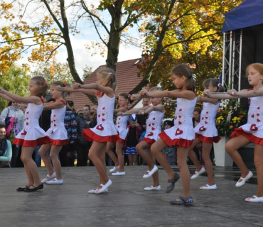 15.ročník Slavností holovouských malináčů 7.10.2017