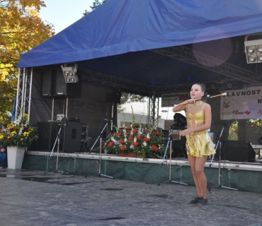 15.ročník Slavností holovouských malináčů 7.10.2017