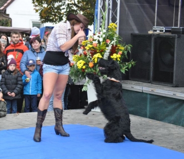 15.ročník Slavností holovouských malináčů 7.10.2017