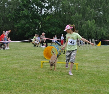 Dogracing 3.ročník 4.6.2016