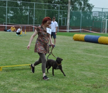 Dogracing 3.ročník 4.6.2016