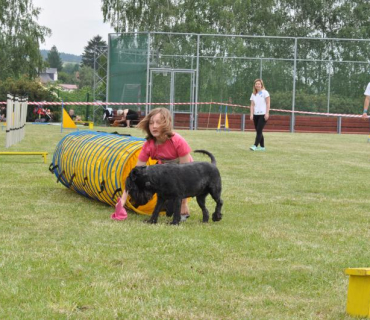 Dogracing 3.ročník 4.6.2016