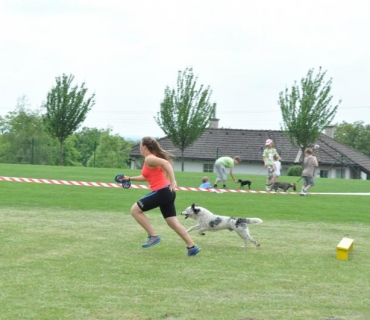 Dogracing 3.ročník 4.6.2016