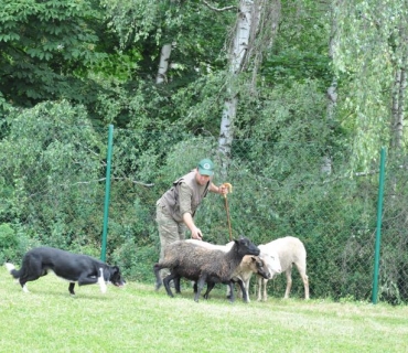 Dogracing 3.ročník 4.6.2016