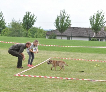 Dogracing 3.ročník 4.6.2016