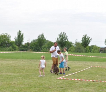 Dogracing 3.ročník 4.6.2016