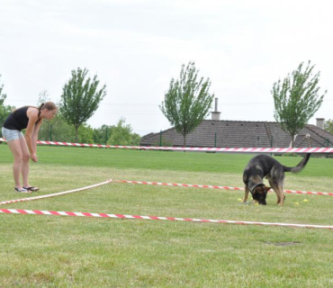 Dogracing 3.ročník 4.6.2016