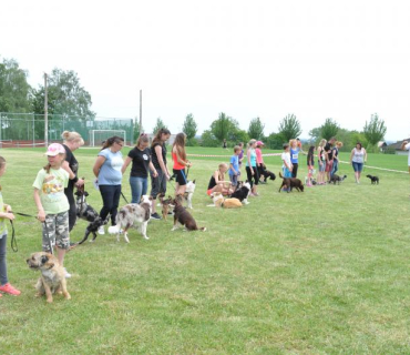 Dogracing 3.ročník 4.6.2016