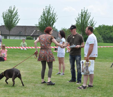 Dogracing 3.ročník 4.6.2016