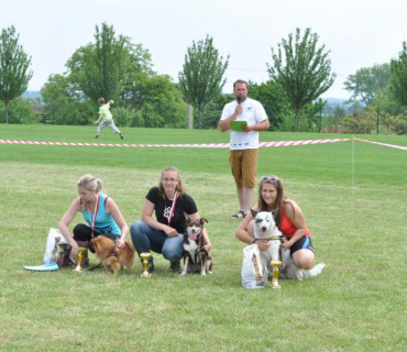 Dogracing 3.ročník 4.6.2016