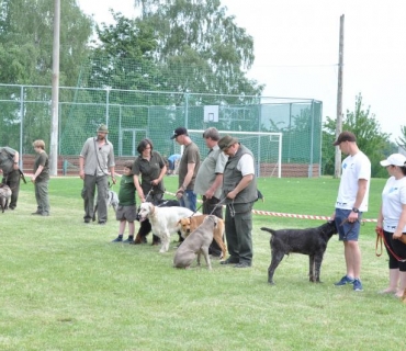 Dogracing 3.ročník 4.6.2016