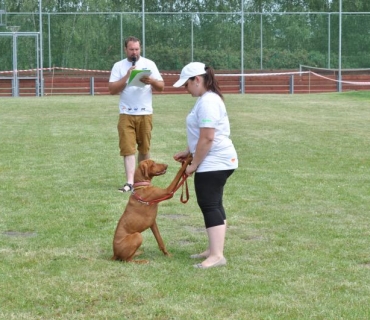 Dogracing 3.ročník 4.6.2016