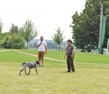 Dogracing 3.ročník 4.6.2016