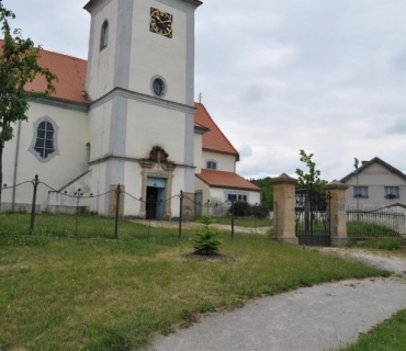 Kostel sv.Bartoloměje - Jedle kavkazská