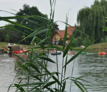 Neckyáda 5.ročník 5. 7. 2015