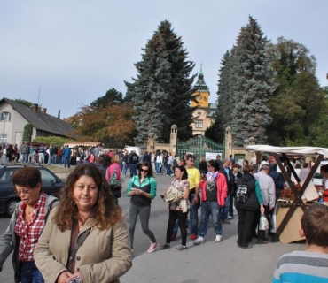 13.ročník Slavností holovouských malináčů