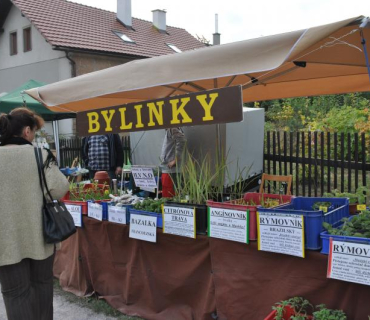 13.ročník Slavností holovouských malináčů