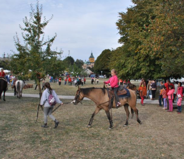 13.ročník Slavností holovouských malináčů