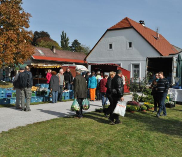 11.ročník Slavností holovouských malináčů