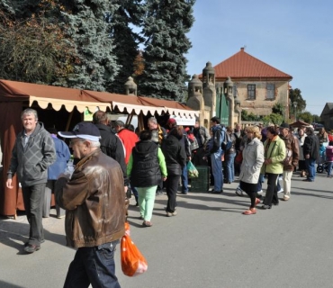 11.ročník Slavností holovouských malináčů