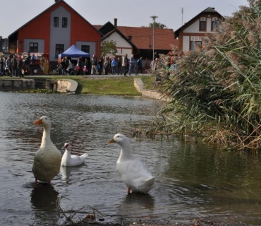 11.ročník Slavností holovouských malináčů