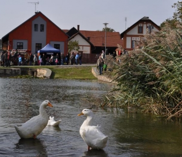 11.ročník Slavností holovouských malináčů