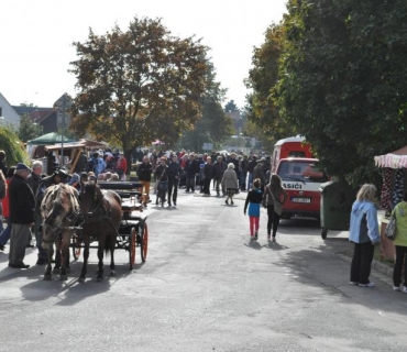 11.ročník Slavností holovouských malináčů