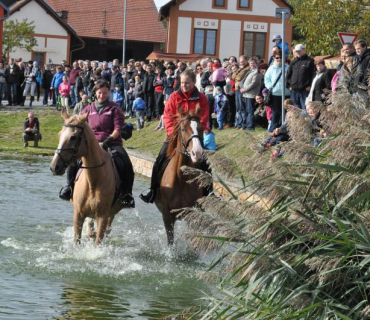 11.ročník Slavností holovouských malináčů