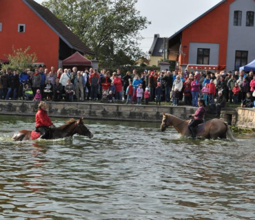 11.ročník Slavností holovouských malináčů