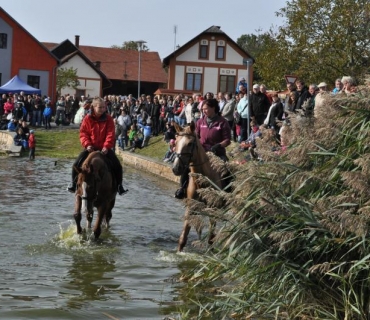 11.ročník Slavností holovouských malináčů