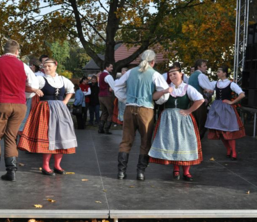 11.ročník Slavností holovouských malináčů