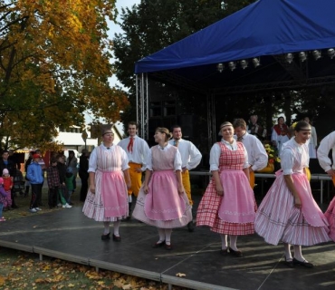 11.ročník Slavností holovouských malináčů