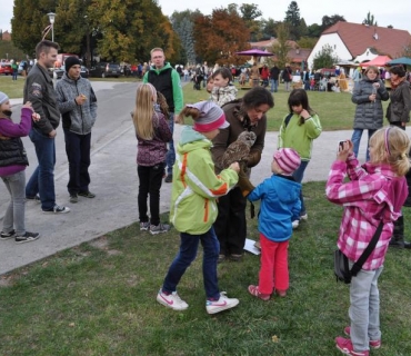 11.ročník Slavností holovouských malináčů