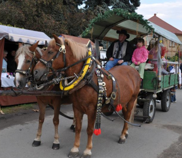 10. ročník Slavností holovouských malináčů a 3. sjezd rodáků - 22.9.2012