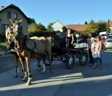 Slavnosti Holovouského malináče 1. 10. 2011