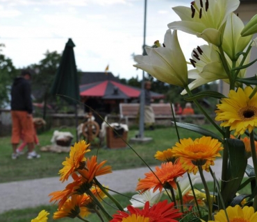 Pouť + jarmark 29. 8. 2010