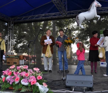 Slavnosti Holovouského malináče 2. 10. 2010