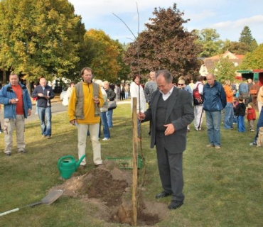 Slavnosti Holovouského malináče 3. 10. 2009