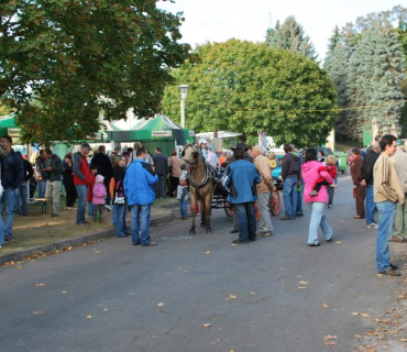 Slavnosti Holovouského malináče 3. 10. 2009