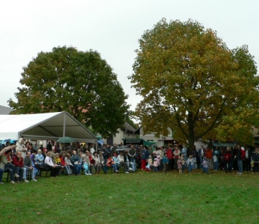 Slavnosti Holovouského malináče 7. 10. 2008