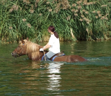 Malináč + 2. sjezd rodáků 22. 9. 2007