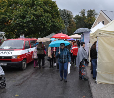 17. ročník Slavnosti holovouských malináčů 5.10.2019