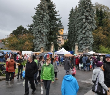 17. ročník Slavnosti holovouských malináčů 5.10.2019