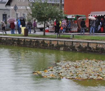 17. ročník Slavnosti holovouských malináčů 5.10.2019