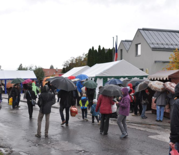 17. ročník Slavnosti holovouských malináčů 5.10.2019