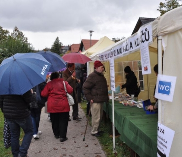 17. ročník Slavnosti holovouských malináčů 5.10.2019