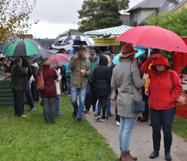 17. ročník Slavnosti holovouských malináčů 5.10.2019